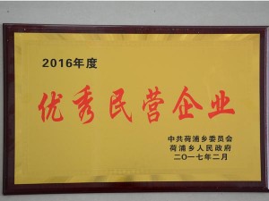 2016年度優(yōu)秀民營(yíng)企業(yè)