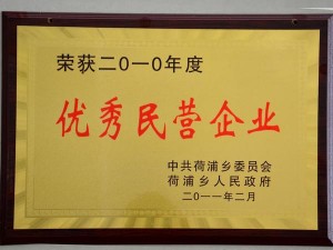 2010年度優(yōu)秀民營(yíng)企業(yè)