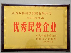 2012年度優(yōu)秀民營(yíng)企業(yè)